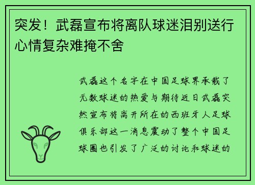 突发!武磊宣布将离队球迷泪别送行心情复杂难掩不舍 突发!武磊宣布将离队球迷泪别送行心情复杂难掩不舍